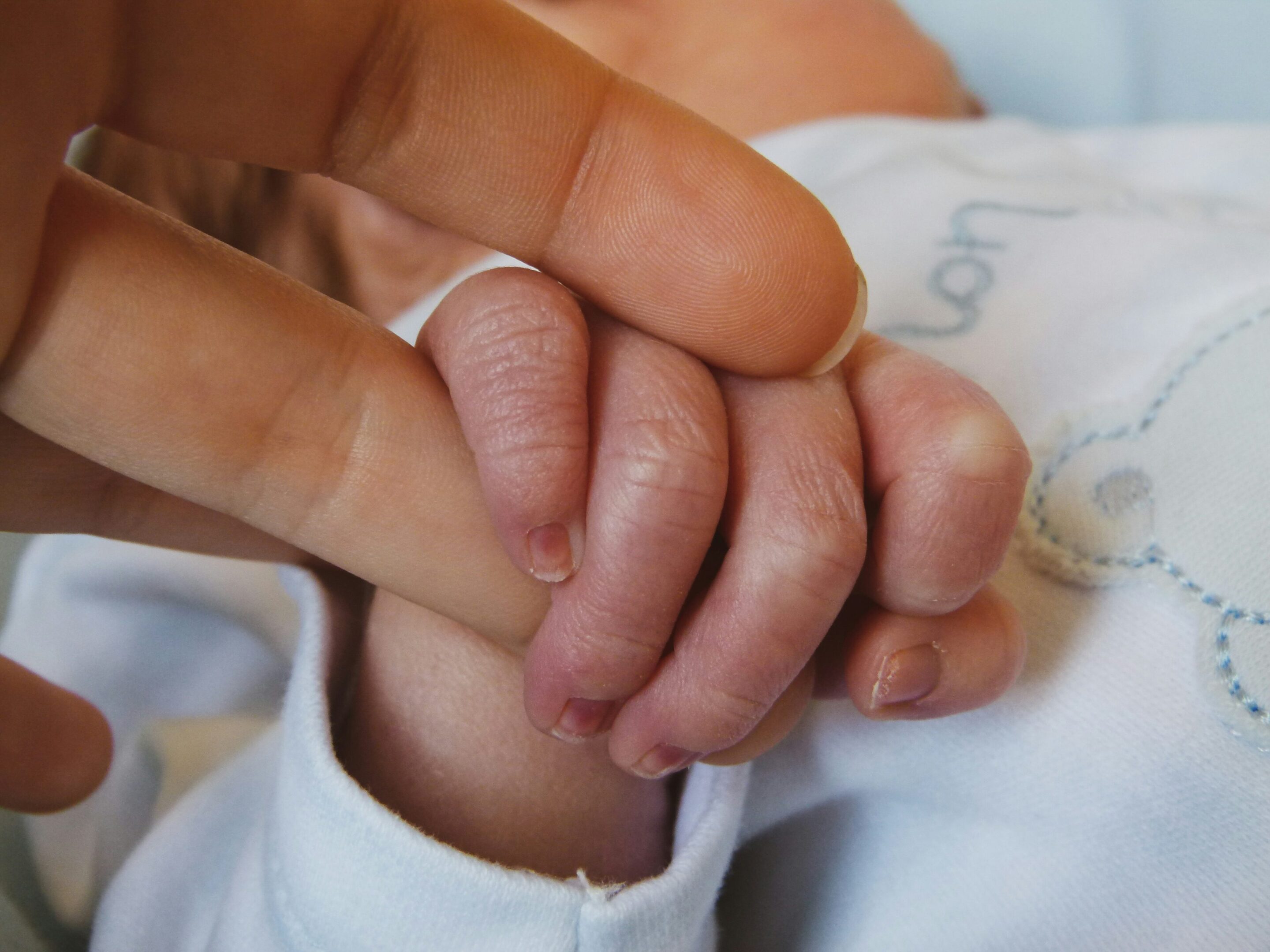 newborn baby hand holding parent finger representing pregnancy support services